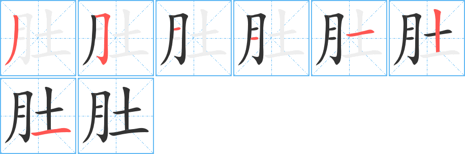 肚的筆順筆畫