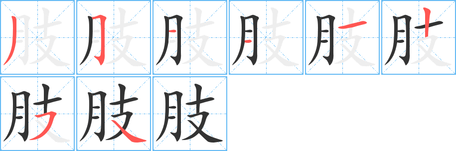 肢的筆順筆畫