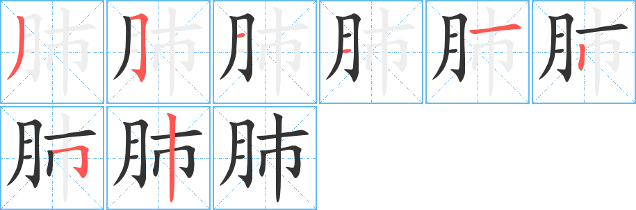 肺的筆順筆畫